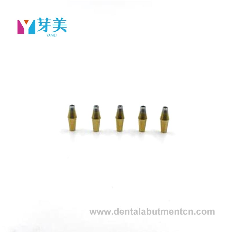 Abutmentprothese: Der 
